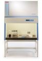 Thermo Scientific 6' Class II Type A2 Biosafety Cabinet Model 1387