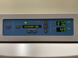 Thermo Forma Model 310 Direct Heat CO2 Double Stack Incubator