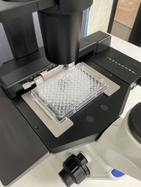 Olympus Inverted Phase Contrast  Microscope CKX53.  ALL MICROSCOPES ON SUPER SALE!! 